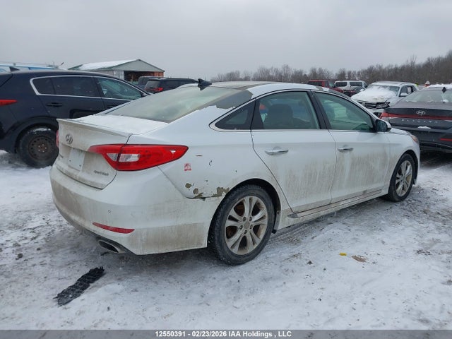5NPE34AF1GH413145 Hyundai Sonata Sport/limited
