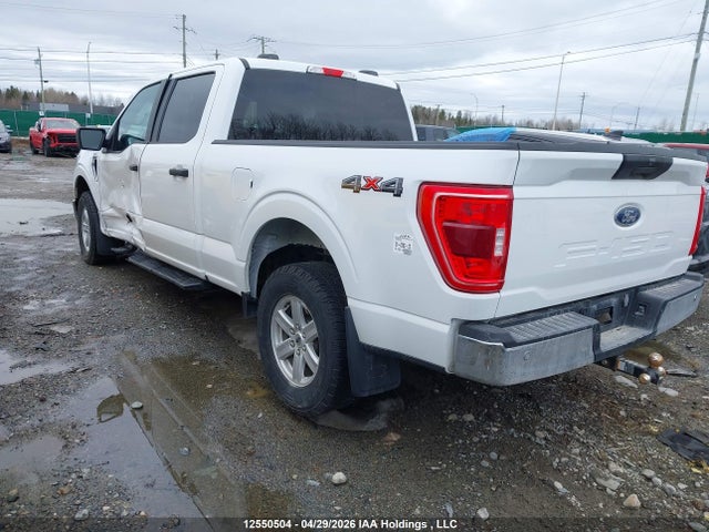 Продаж на аукціоні авто 2023 Ford F150 Supercrew, vin: 1FTFW1E58PFB91208, номер лоту: 12550504