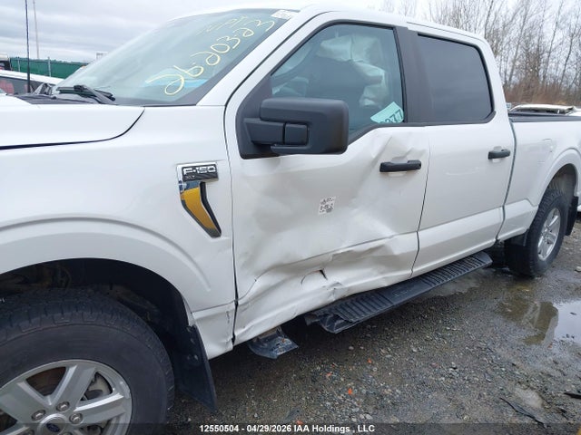 Продаж на аукціоні авто 2023 Ford F150 Supercrew, vin: 1FTFW1E58PFB91208, номер лоту: 12550504