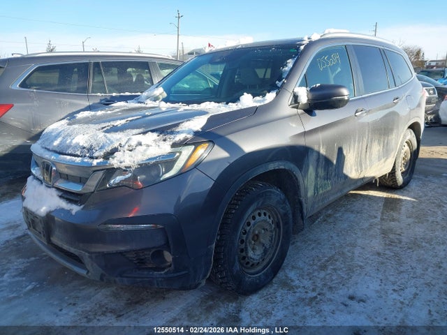 5FNYF6H76MB503853 Honda Pilot Black
