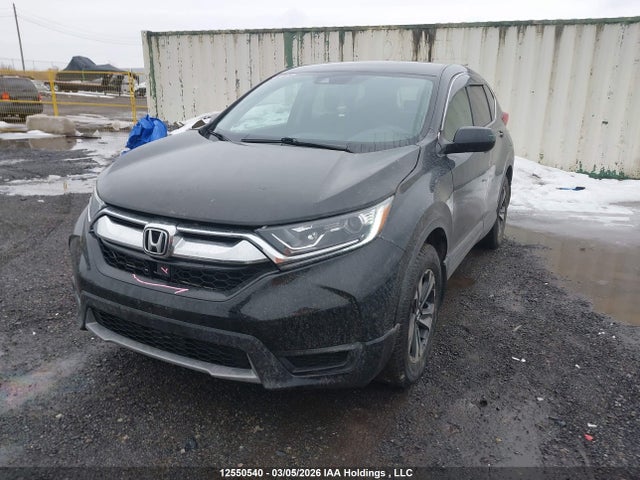 12550540 :رقم المزاد ، 2HKRW2H28KH115409 vin ، 2019 Honda Cr-v Lx مزاد بيع