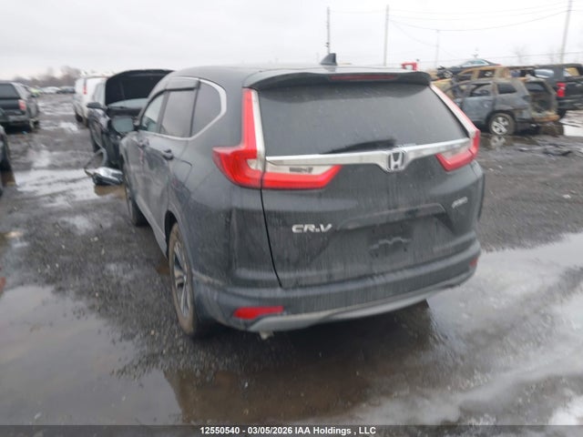 12550540 :رقم المزاد ، 2HKRW2H28KH115409 vin ، 2019 Honda Cr-v Lx مزاد بيع