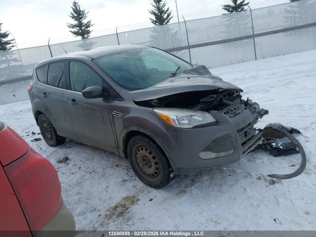 12550558 :رقم المزاد ، 1FMCU9GX1DUA27162 vin ، 2013 Ford Escape Se مزاد بيع