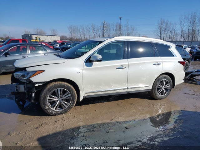 5N1DL0MM4KC564821 Infiniti Qx60 Luxe/pure