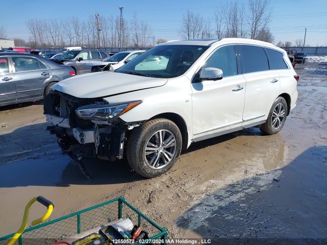 5N1DL0MM4KC564821 Infiniti Qx60 Luxe/pure