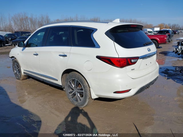 5N1DL0MM4KC564821 Infiniti Qx60 Luxe/pure