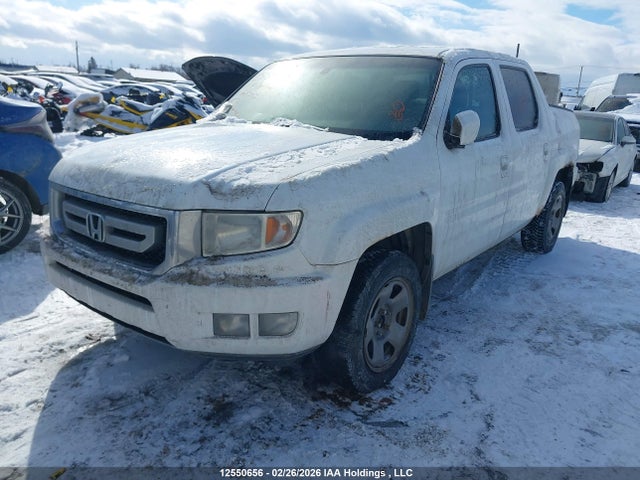 Продаж на аукціоні авто 2009 Honda Ridgeline Rtl, vin: 2HJYK16529H001323, номер лоту: 12550656
