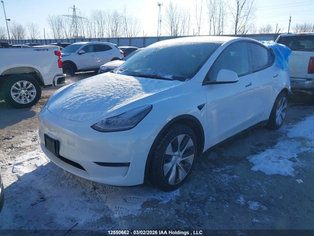 Продаж на аукціоні авто 2021 Tesla Model Y Long Range, vin: 5YJYGAEE2MF237136, номер лоту: 12550662
