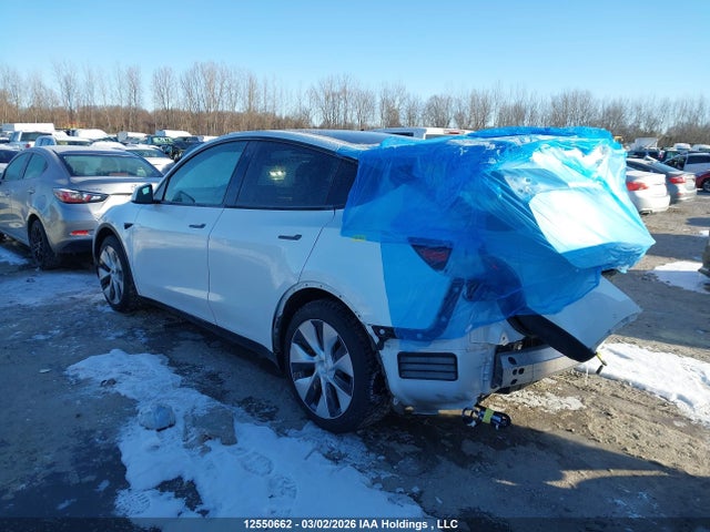 Продаж на аукціоні авто 2021 Tesla Model Y Long Range, vin: 5YJYGAEE2MF237136, номер лоту: 12550662