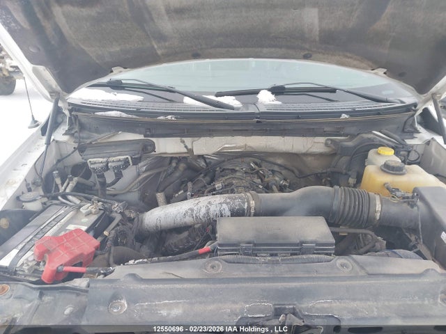 Продажа на аукционе авто 2014 Ford F-150 Xlt, vin: 1FTFW1ET9EKF84136, номер лота: 12550696