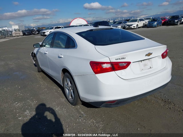 1G1ZB5ST6PF164973 Chevrolet MALIBU LS