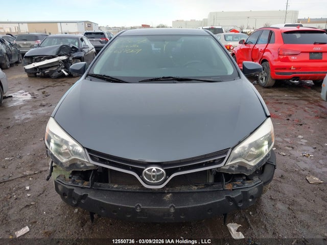 2T1BURHE3GC637269 Toyota COROLLA LE