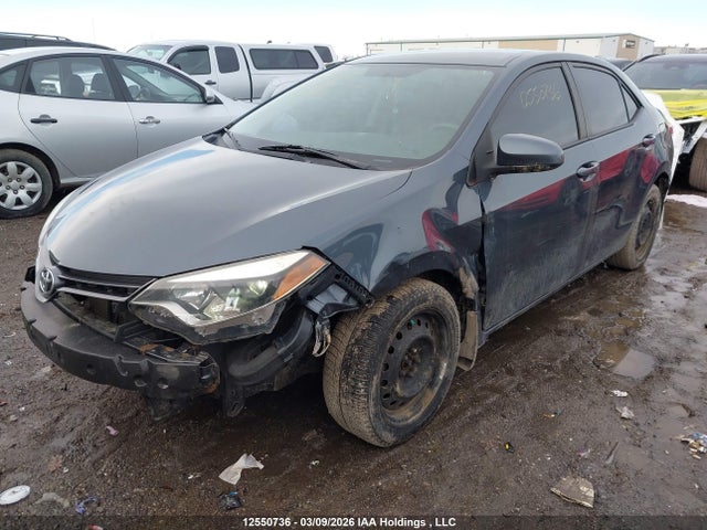 2T1BURHE3GC637269 Toyota COROLLA LE