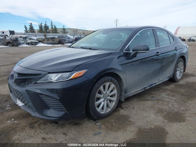 4T1B11HK1KU772452 Toyota CAMRY SE