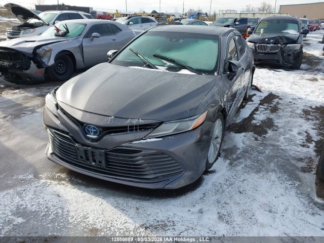 4T1B21HK0JU502320 Toyota Camry Hybrid Le/se/xle