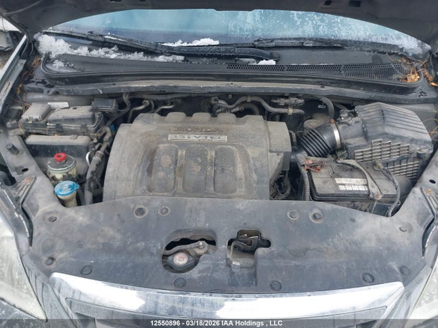 12550896 :رقم المزاد ، 5FNRL38757B501110 vin ، 2007 Honda Odyssey Exl مزاد بيع