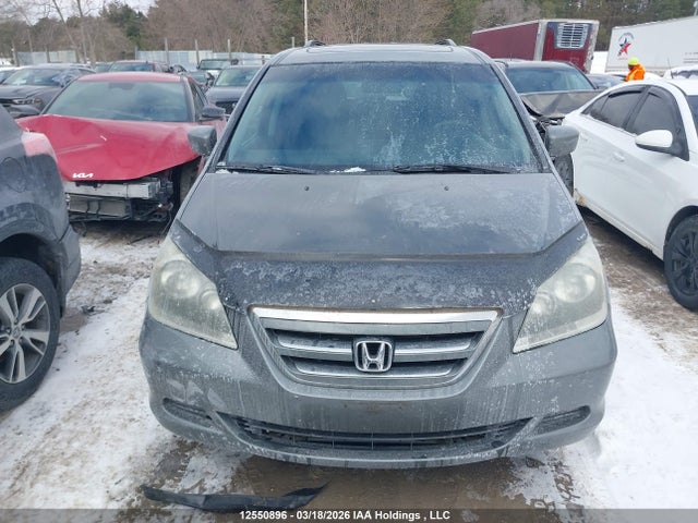 12550896 :رقم المزاد ، 5FNRL38757B501110 vin ، 2007 Honda Odyssey Exl مزاد بيع