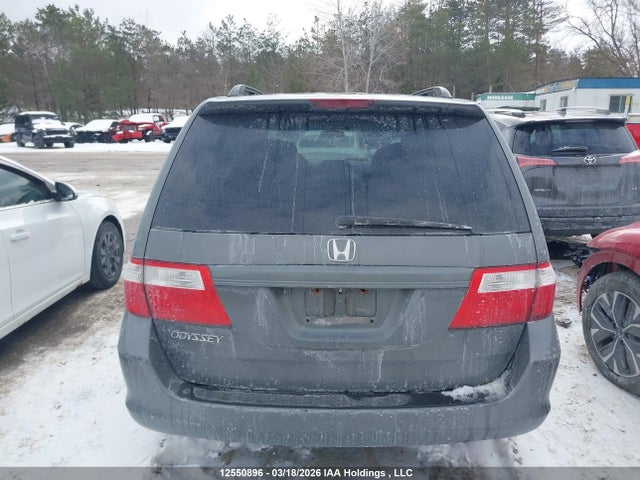 12550896 :رقم المزاد ، 5FNRL38757B501110 vin ، 2007 Honda Odyssey Exl مزاد بيع