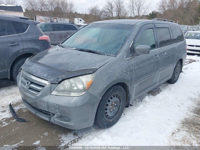 12550896 :رقم المزاد ، 5FNRL38757B501110 vin ، 2007 Honda Odyssey Exl مزاد بيع