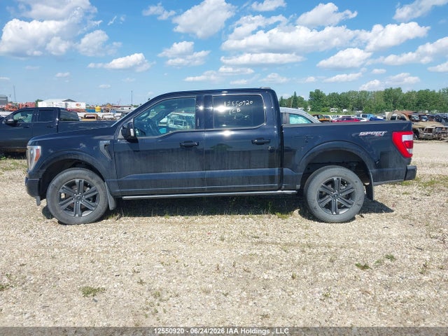 12550920 :رقم المزاد ، 1FTEW1EP3PFD00932 vin ، 2023 Ford F150 Supercrew مزاد بيع