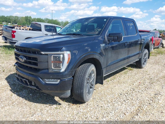 12550920 :رقم المزاد ، 1FTEW1EP3PFD00932 vin ، 2023 Ford F150 Supercrew مزاد بيع