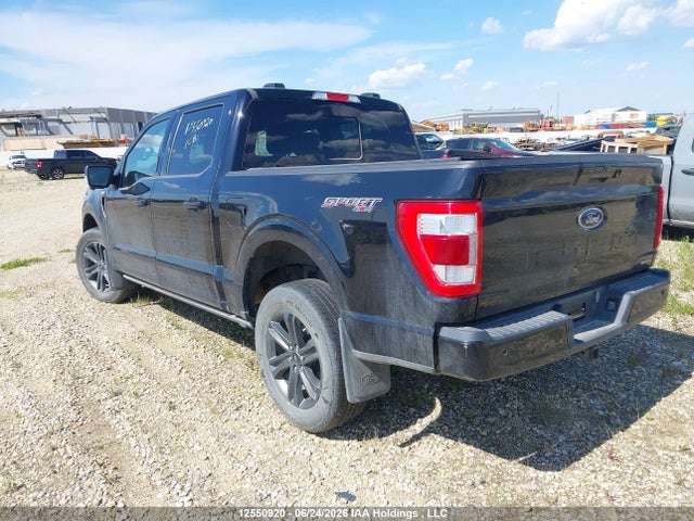 12550920 :رقم المزاد ، 1FTEW1EP3PFD00932 vin ، 2023 Ford F150 Supercrew مزاد بيع