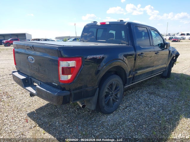 12550920 :رقم المزاد ، 1FTEW1EP3PFD00932 vin ، 2023 Ford F150 Supercrew مزاد بيع