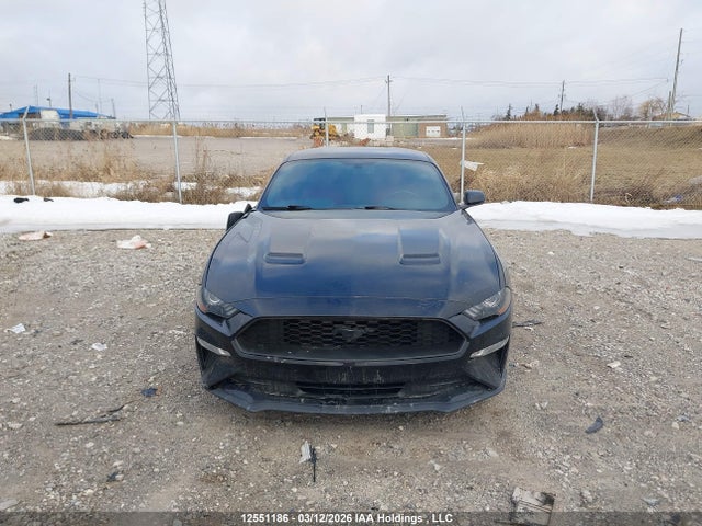 12551186 :رقم المزاد ، 1FA6P8THXK5102844 vin ، 2019 Ford Mustang Ecoboost Premium مزاد بيع