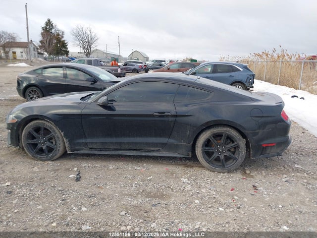 12551186 :رقم المزاد ، 1FA6P8THXK5102844 vin ، 2019 Ford Mustang Ecoboost Premium مزاد بيع