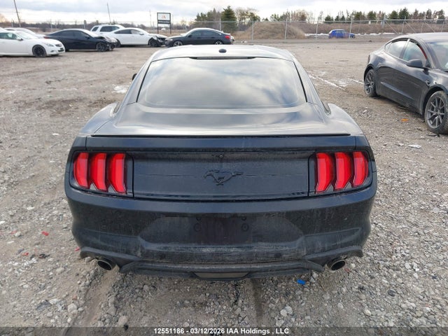 12551186 :رقم المزاد ، 1FA6P8THXK5102844 vin ، 2019 Ford Mustang Ecoboost Premium مزاد بيع