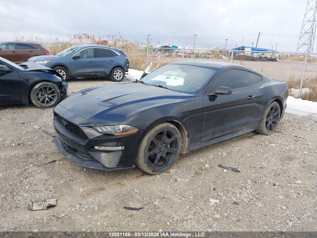 12551186 :رقم المزاد ، 1FA6P8THXK5102844 vin ، 2019 Ford Mustang Ecoboost Premium مزاد بيع