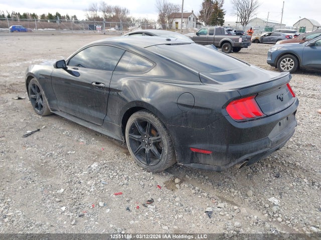 12551186 :رقم المزاد ، 1FA6P8THXK5102844 vin ، 2019 Ford Mustang Ecoboost Premium مزاد بيع