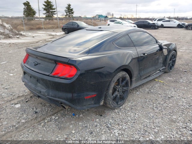 12551186 :رقم المزاد ، 1FA6P8THXK5102844 vin ، 2019 Ford Mustang Ecoboost Premium مزاد بيع