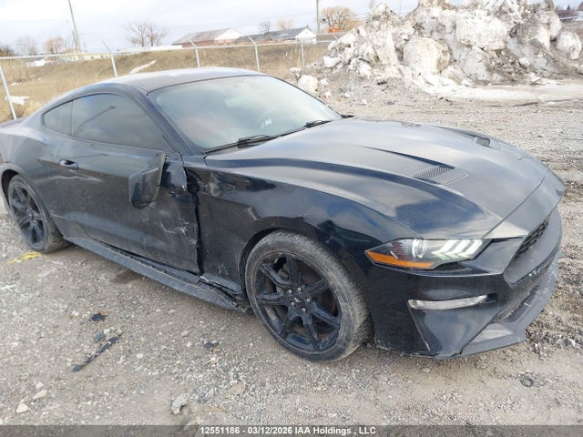 12551186 :رقم المزاد ، 1FA6P8THXK5102844 vin ، 2019 Ford Mustang Ecoboost Premium مزاد بيع