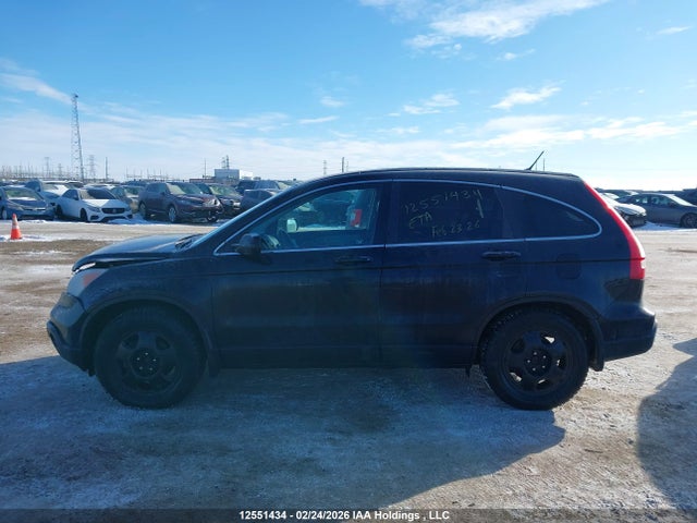 2007 Honda Cr-v Exl მანქანა იყიდება აუქციონზე, vin: 5J6RE487X7L814466, აუქციონის ნომერი: 12551434
