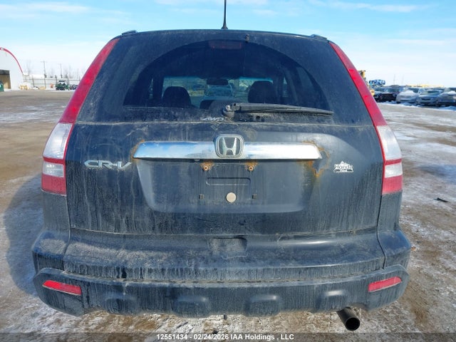 2007 Honda Cr-v Exl მანქანა იყიდება აუქციონზე, vin: 5J6RE487X7L814466, აუქციონის ნომერი: 12551434