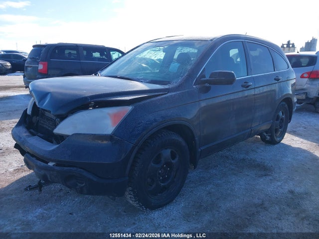2007 Honda Cr-v Exl მანქანა იყიდება აუქციონზე, vin: 5J6RE487X7L814466, აუქციონის ნომერი: 12551434