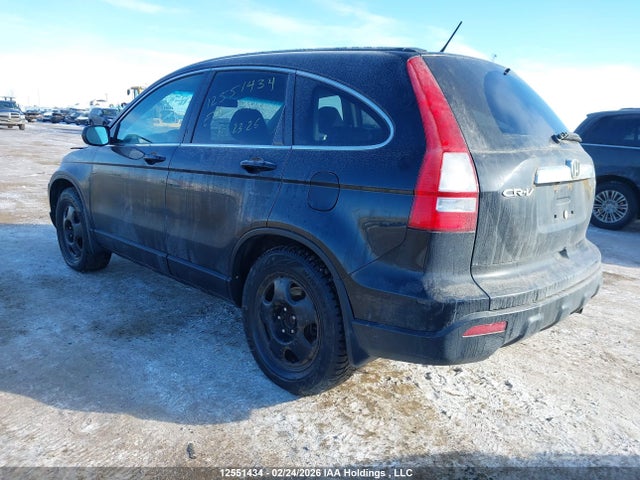 2007 Honda Cr-v Exl მანქანა იყიდება აუქციონზე, vin: 5J6RE487X7L814466, აუქციონის ნომერი: 12551434
