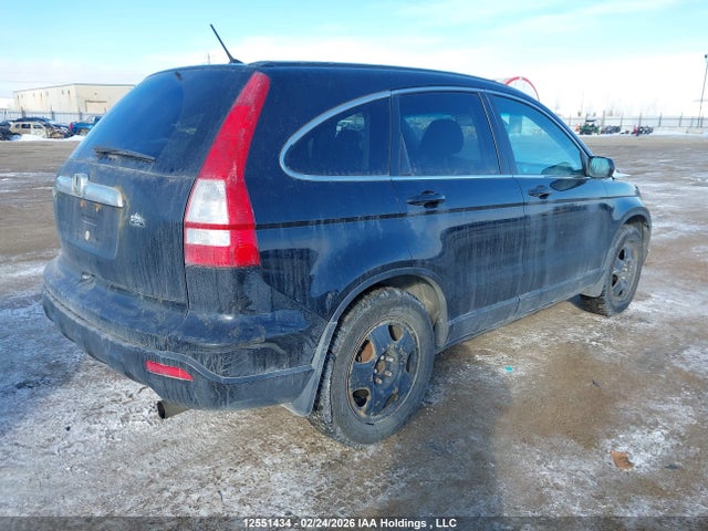 2007 Honda Cr-v Exl მანქანა იყიდება აუქციონზე, vin: 5J6RE487X7L814466, აუქციონის ნომერი: 12551434