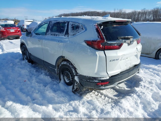 2HKRW2H22LH222554 Honda CR-V