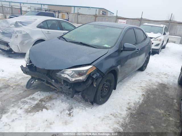 2014 Toyota Corolla Le მანქანა იყიდება აუქციონზე, vin: 2T1BURHE3EC211319, აუქციონის ნომერი: 12551533