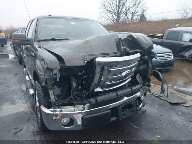 Продажа на аукционе авто 2009 Ford F-150 Xlt, vin: 1FTRW12829KC21812, номер лота: 12551560