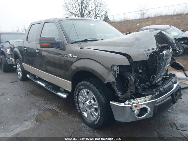 Продажа на аукционе авто 2009 Ford F-150 Xlt, vin: 1FTRW12829KC21812, номер лота: 12551560
