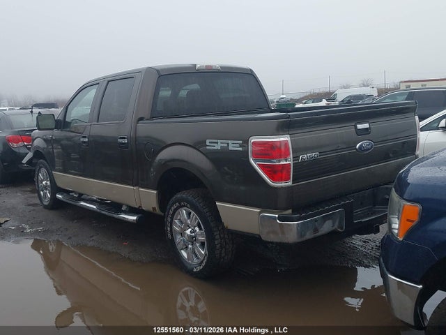 Продажа на аукционе авто 2009 Ford F-150 Xlt, vin: 1FTRW12829KC21812, номер лота: 12551560