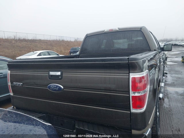 Продажа на аукционе авто 2009 Ford F-150 Xlt, vin: 1FTRW12829KC21812, номер лота: 12551560
