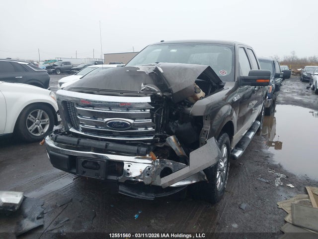 Продажа на аукционе авто 2009 Ford F-150 Xlt, vin: 1FTRW12829KC21812, номер лота: 12551560