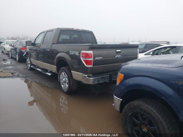 Продажа на аукционе авто 2009 Ford F-150 Xlt, vin: 1FTRW12829KC21812, номер лота: 12551560