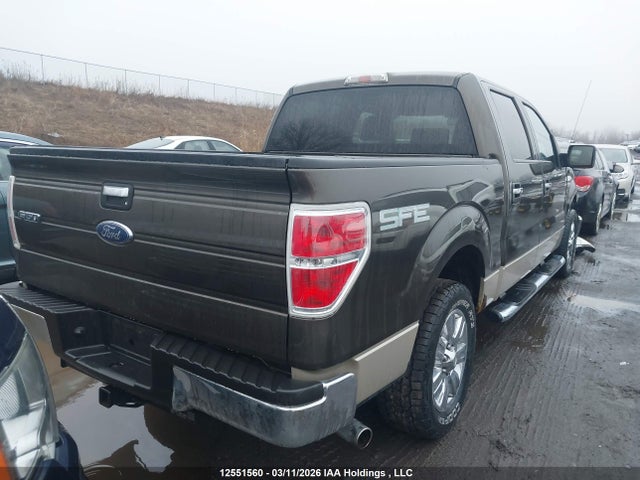 Продажа на аукционе авто 2009 Ford F-150 Xlt, vin: 1FTRW12829KC21812, номер лота: 12551560