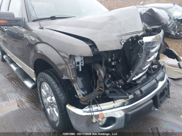 Продажа на аукционе авто 2009 Ford F-150 Xlt, vin: 1FTRW12829KC21812, номер лота: 12551560