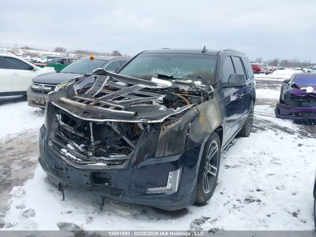 Cadillac Escalade 2016 1GYS4DKJ4GR272657 Image 2